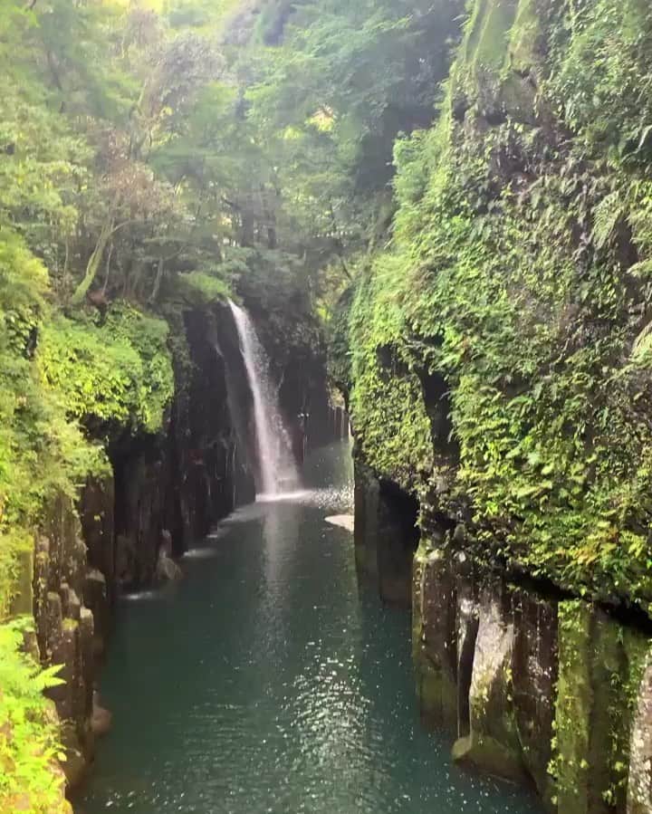 ニッキ・バン ダイクのインスタグラム：「So lush and oh so healthy 🇯🇵🇯🇵🇯🇵」