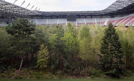 レオナルド・ディカプリオさんのインスタグラム写真 - (レオナルド・ディカプリオInstagram)「#Regram #RG @cnnclimate: Wörthersee Football Stadium in Austria has been transformed into a lush forest 🌲🌳🌱 in an effort to raise awareness of deforestation and #climatechange. The pitch is now lined with about 300 trees, some weighing up to six tons each. The aim is to “challenge our perception of nature and question its future” and symbolizes the notion that nature “may someday only be found in specially designated spaces,” says Klaus Littmann, the Swiss artist behind the project. (📸: UNIMO, Gerhard Maurer)」9月11日 23時20分 - leonardodicaprio