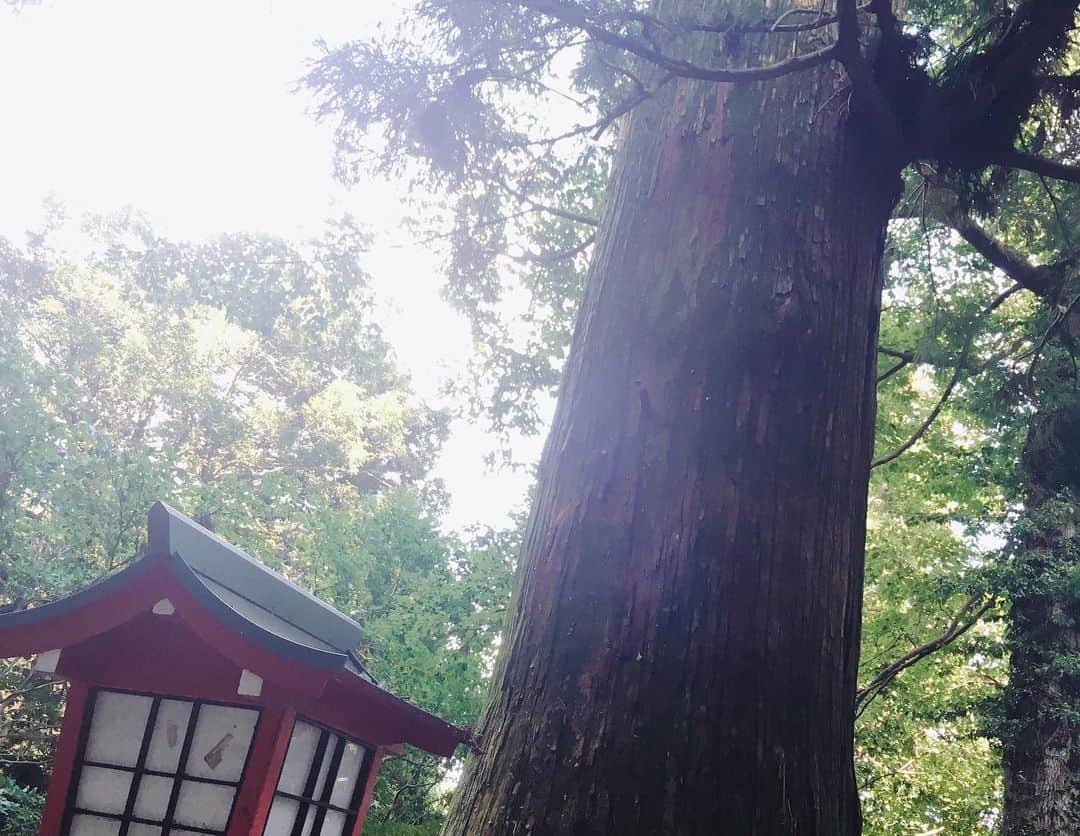 大湯みほさんのインスタグラム写真 - (大湯みほInstagram)「……… 宮城から、家族がやってきました＾＾ ・ 東京観光。。。うーん😐… 悩んだ末、結果、、、、 高尾山🏔に登って、自然のおいしい空気たくさん吸って、リフレッシュ✨してきたよ❗️ ・ 私の東京のお友達にも会ってもらえたり😊甥っ子姪っ子たちに、会いに行ったり、充実した3日間でした！！✨家族っていいね👍また来てね😍 ・ #family #travel #tokyo #高尾山 #登山 #hiking  #mountain #memory #refresh #天狗焼 #名物 #ぬか漬け #nukazuke #ぬか漬けマイスター #大湯みほ」9月11日 23時55分 - nukazukemiho0320