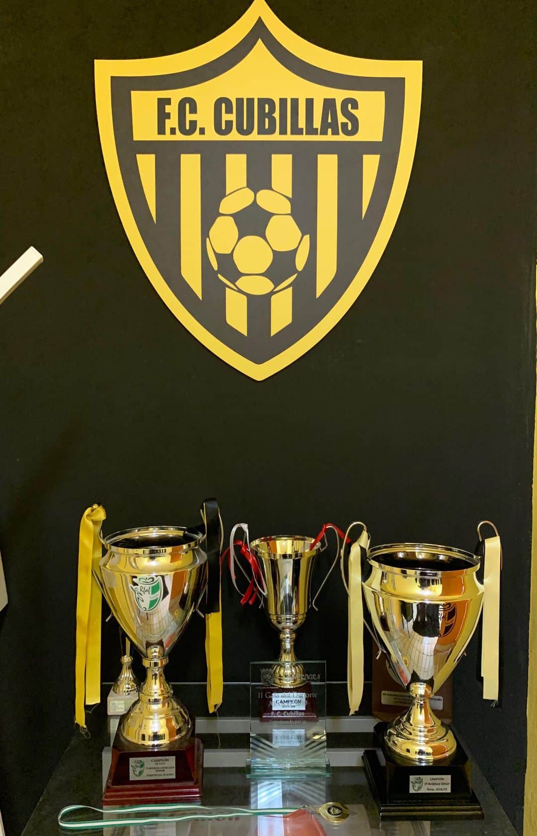 フェリペ・サンタナのインスタグラム：「A HISTÓRIA DE UM CLUBE VENCEDOR!!」