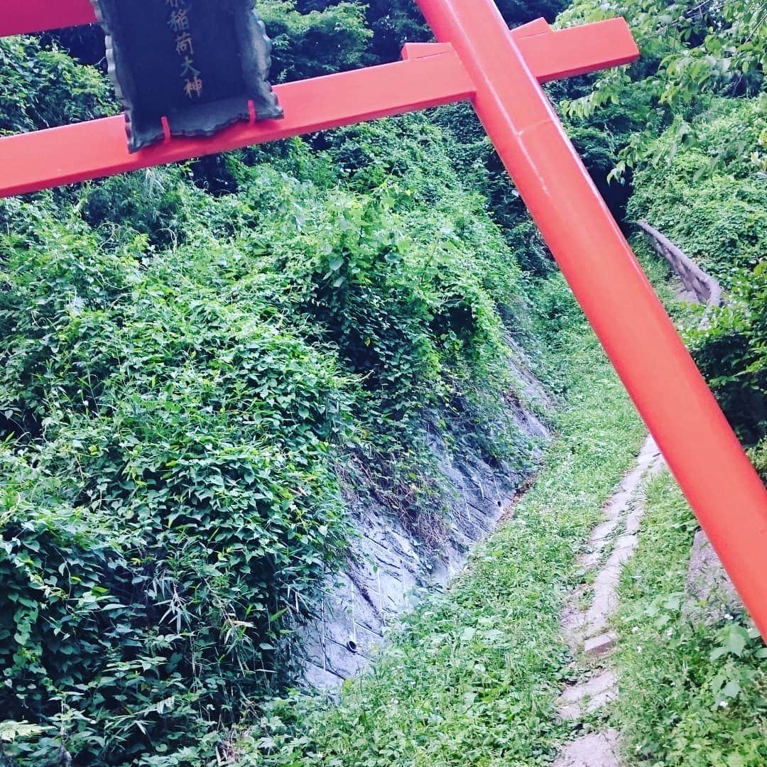 eNuのインスタグラム：「ちょいと前シリーズ 2017年6月 白赤稲荷社@横須賀  誰もいなくていい雰囲気だった #神社」