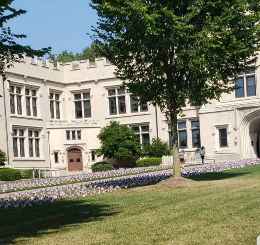 ウィリー・ガーソンさんのインスタグラム写真 - (ウィリー・ガーソンInstagram)「My son's college this morning, with thousands of flags remembering the best of us, and who we should be.」9月12日 1時09分 - willie.garson