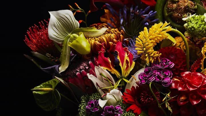 椎木俊介のインスタグラム：「Flowers  #azumamakoto #makotoazuma #shiinokishunsuke #amkk #amkkproject #flowers #flowerart #東信 #東信花樹研究所 #花  #timelapse #60秒 #60s」