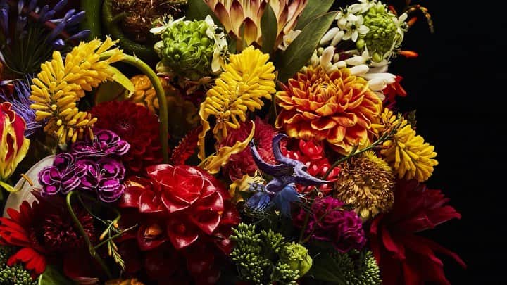 椎木俊介のインスタグラム：「Flowers  #azumamakoto #makotoazuma #shiinokishunsuke #amkk #amkkproject #flowers #flowerart #東信 #東信花樹研究所 #花  #timelapse #60秒 #60s」