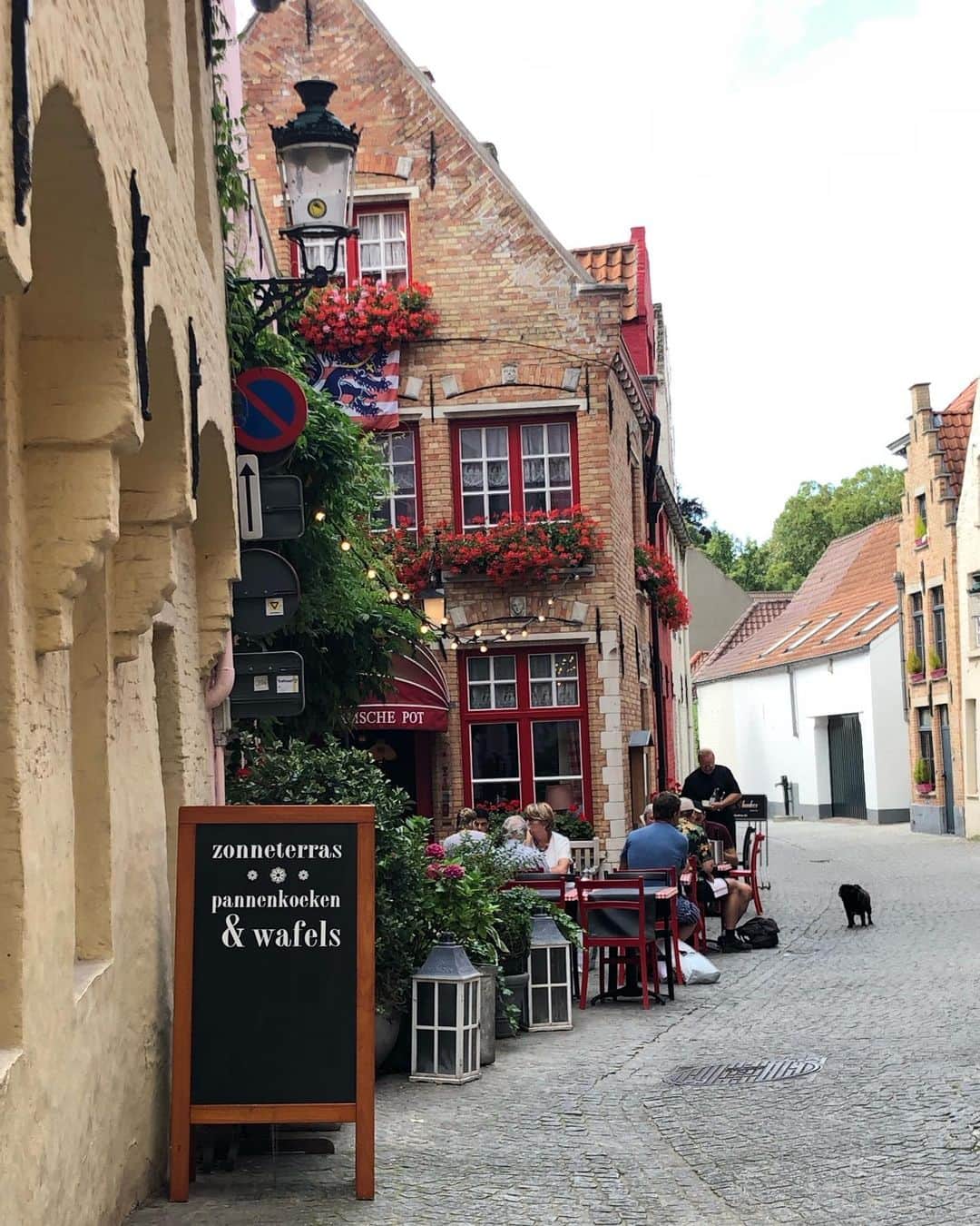 西島ミライさんのインスタグラム写真 - (西島ミライInstagram)「ベルギー旅行の記録🇧🇪古都ブリュージュで見つけた可愛いジェラート屋さん🍨💓モヒート味を頼んだらさっぱりしてて美味しかった！この日は暑くてアイスを食べながら歩いてる人達がたくさんいたよ〜！ #ベルギー #ブリュージュ #ヨーロッパ旅行 #ヨーロッパ #一人旅 #女子旅 #旅行好きな人と繋がりたい #België #ブルッヘ」9月12日 11時55分 - mira_nishi