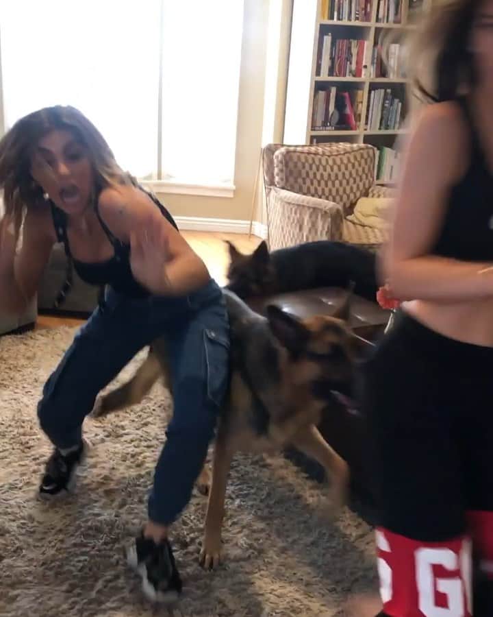 Hannah Stockingのインスタグラム：「Dogs always act up when you have guests over 🤷‍♀️🐶 w/ @hanagiraldo @kylemassey @mr_kent1 @brucestocking @pattystocking」