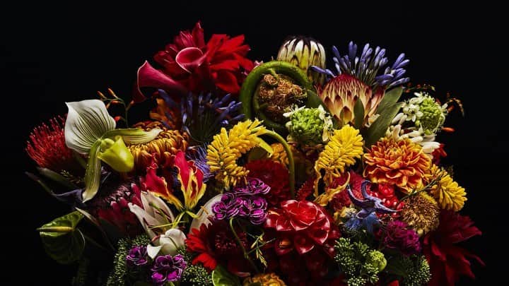 椎木俊介のインスタグラム：「Flowers  #azumamakoto #makotoazuma #shiinokishunsuke #amkk #amkkproject #flowers #flowerart #東信 #東信花樹研究所 #花  #timelapse #60秒 #60s」