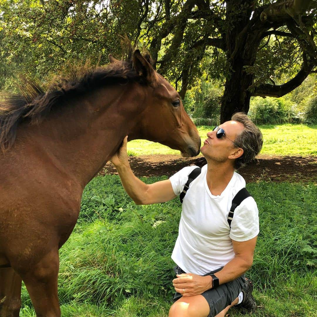 トニー・ゴールドウィンさんのインスタグラム写真 - (トニー・ゴールドウィンInstagram)「Making friends with the locals. #cotswolds」9月12日 6時36分 - tonygoldwyn