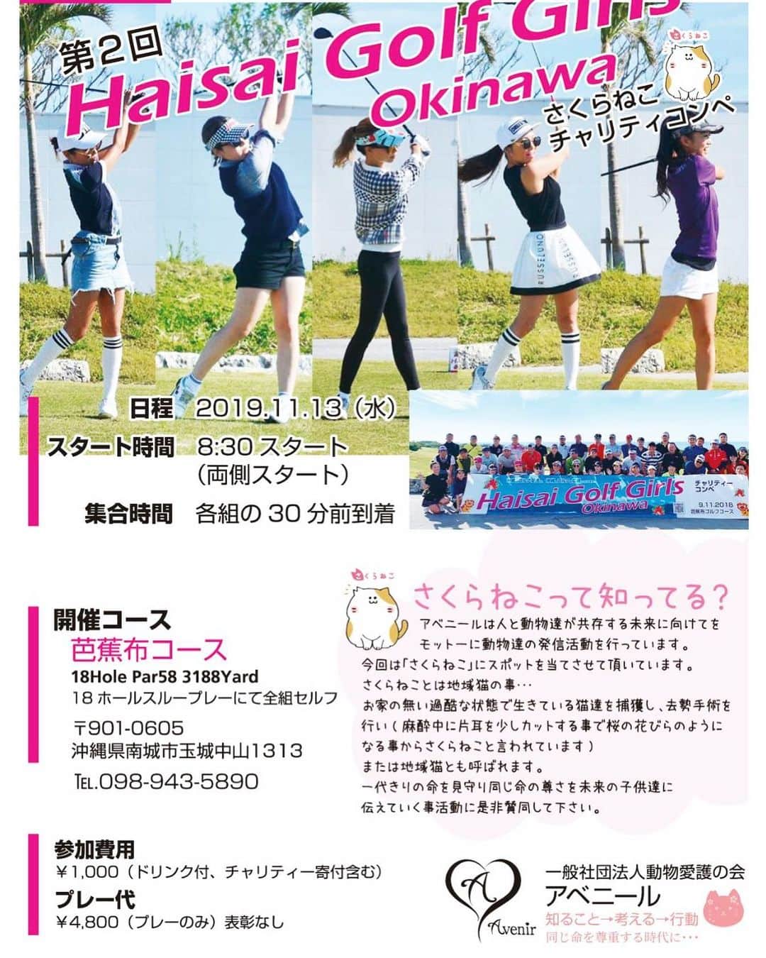 呉屋ありささんのインスタグラム写真 - (呉屋ありさInstagram)「. 第2回 Haisai Golf Girls チャリティコンペ . ご案内が完成しましたので 本日より参加者様を募集します。 . Haisai Golf Girlsのゴルフコンペでは . ✔︎ゴルフをしたいけど、周りにゴルフをする人が居なくなかなかスタート出来ない。 . ✔︎ゴルフをする友達を増やしたい . ✔︎ゴルフを通して人と繋がりたい . ✔︎ゴルフを通して力を合わせたい . などなど . (沢山書きたいけど省略させて頂きます) . 秋の🍁気持ちのいい季節に 沢山のゴルフ好きの方が楽しめれるよう頑張りますのでエントリー宜しくお願いします😊💗 . お一人様からお気軽にお問い合わせ下さい。InstagramからはDMまで💁‍♀️ . . #はいさいゴルフガール #チャリティーコンペ#ご案内#アベニール#動物愛護#ゴルフすきな人と繋がりたい #ゴルフ#ゴルフ女子#ゴルフ男子#ゴルフ初心者#ゴルフデビュー#秋ゴルフ#動物好きな人と繋がり #沖縄ゴルフ#猫ちゃん#犬ちゃん#守ろう命#さくら猫#Golf#golflife #golfstagram #golfr#golfevent#welcome」9月12日 7時50分 - arisa_goya