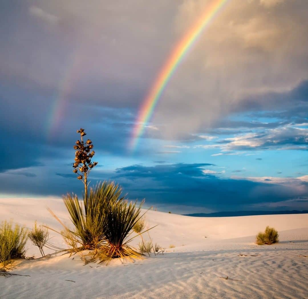 アメリカ内務省さんのインスタグラム写真 - (アメリカ内務省Instagram)「In a stark white landscape, a little bit of color goes a long way. #WhiteSands National Monument in #NewMexico -- the world’s largest gypsum dunefield -- averages fewer than 9 inches of rain a year, making #rainbows a rare treat. But no matter the sky, these dramatic dunes draw more than half a million visitors a year and the park is a favorite location for photographers and artists. It’s a great place to gather together with friends and strangers and enjoy the beauty and peace of our most wonderful public lands. Photo @WhiteSandsNPS by Raymond Lee (www.sharetheexperience.org). #travel #FindYourPark #usinterior」9月12日 9時10分 - usinterior