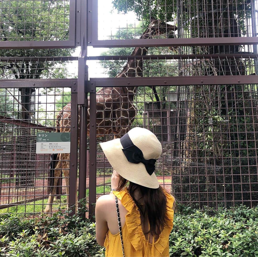 小山莉奈さんのインスタグラム写真 - (小山莉奈Instagram)「🦒」9月12日 22時01分 - koyama_rina
