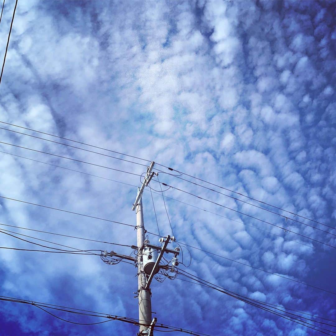 njun tamahkiのインスタグラム：「京阪奈丘陵の先っぽにあたる我が家近く  鱗雲を良くみかけます」