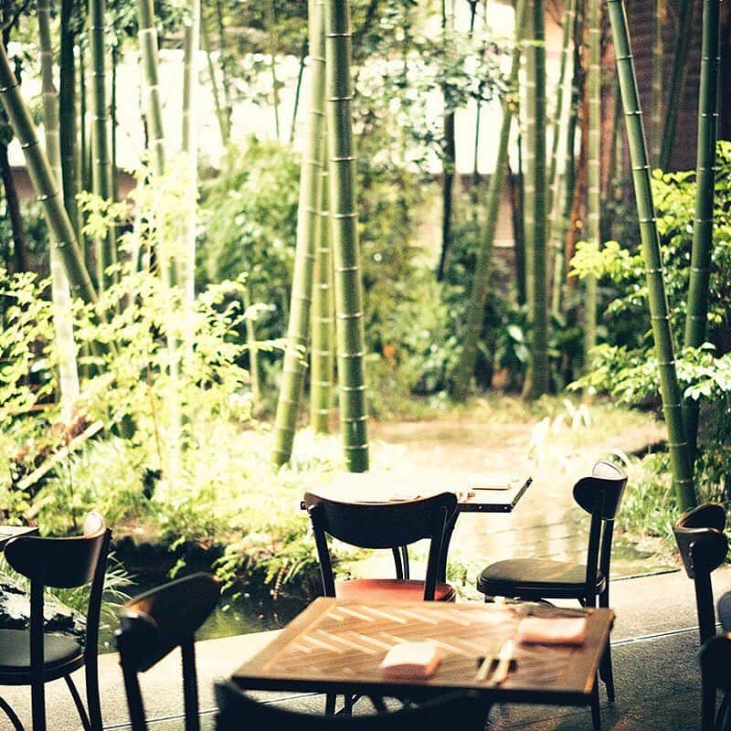 FORTUNE GARDEN KYOTOのグルメインスタ