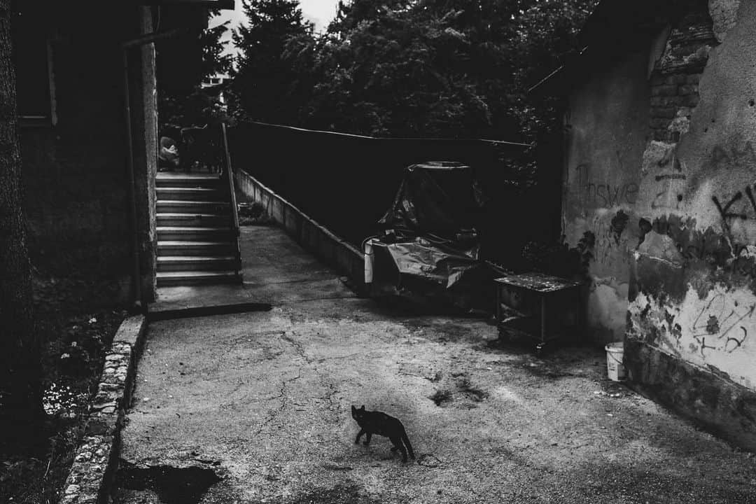 Shinsuke Inoueのインスタグラム：「#Sarajevo | #Bosnia and Herzegovina | 2017 #サラエボ | #ボスニアヘルツェゴビナ | 2017年」