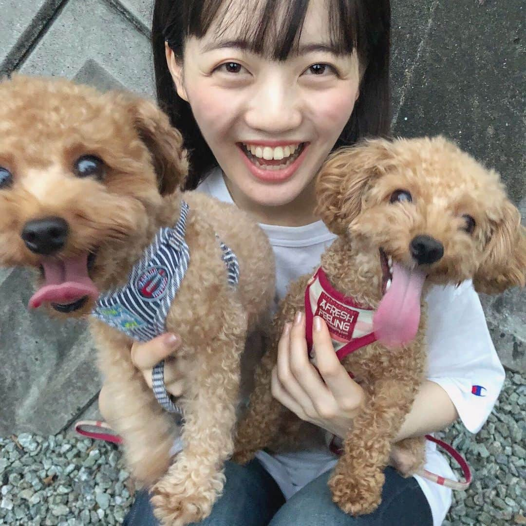 ばってん少女隊さんのインスタグラム写真 - (ばってん少女隊Instagram)「【#愛ちゃんからの投稿 】 田舎娘ツアーまで残り10日！！✨ . 私達も気合いが入ってます💪🏻 いつものツアーとは違った楽しみもあるかも…🤫ﾜｸﾜｸ . 楽しみがいっぱいです♪ . チケット発売中なのでぜひお越しください‪‪❤︎‬ #希山愛 #ばってん少女隊 #ばっしょー #スタプラ」9月12日 21時46分 - but_show.insta