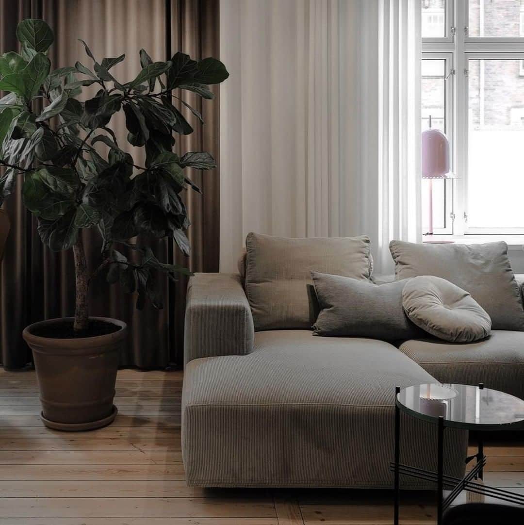 eilersenさんのインスタグラム写真 - (eilersenInstagram)「Baseline sofa is a classic Eilersen. Clean lines and uncomplicated elegance make Baseline an obvious starting point for the interior decoration of your living room. ⁠ Photo by @onlydecolove⁠ ⁠•⁠ •⁠ • ⁠ #eilersen #eilersenfurniture #myeilersen #baseline #interiordesign #design #homedecor #sofa #danishdesign #inredning #hem #interiør #interiorlovers #interior123 #interiordesign #modernliving #minimalism #nordiskehjem #furniture #interiors #craftsmanship #luxurylifestyle #home #designinterior #livingroominspo #stue #livingroom #onlydecolove #antondam⁠」9月12日 13時00分 - eilersen