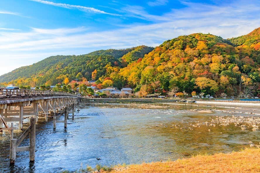 MagicalTripさんのインスタグラム写真 - (MagicalTripInstagram)「NEW TOUR RELEASED😁 “Kyoto Arashiyama Insider Tour” * (1) What is Arashiyama? Arashiyama is one of the most popular destinations in Kyoto for the bamboo forest and beautiful village and temples around. * (2) Let’s visit Arashiyama in this autumn together! Especially, autumn is the best season to visit Arashiyama. Why? You will definitely love how the leaves change color into red, orange, yellow. It is just so beautiful. * (3) Comments from Nanako, who created this tour. “Hi I’m Nanako. I was born and raised in Kyoto so I’m a 100% Kyoto’s local. I created this tour because I felt it was such a pity that most of travelers only see the famous “Kyoto bamboo forest” around Arashiyama. Let me say, Arashiyama offers many more things to do other than the bamboo forest! Our Kyoto’s local team will make sure that you are going to experience something that you couldn’t do on your own if you join this tour. We also prepare a delicious, traditional Kyoto style lunch. We are excited to see you soon😆 ”  #magicaltrip #magicaltripcom #walkwithlocals #arashiyama #arashiyamabambooforest #arashiyamakyoto #arashiyamabamboogrove #arashiyamabamboo #kyoto #kyototrip #kyototravel #kyotojapan #kyotofood #kyotostyle #kyototemple #kyotolunch #kyotogram #kyotogarden #instakyoto #togetsukyo #togetsukyobridge #tenryuji #tenryujitemple #tenryujigarden #japantravel #japantrip #japanbeauty #japannature #soba #rugbyworldcup2019」9月12日 13時06分 - magicaltripcom