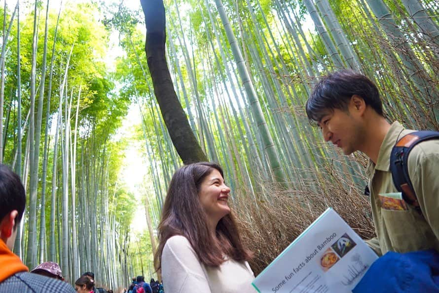 MagicalTripさんのインスタグラム写真 - (MagicalTripInstagram)「NEW TOUR RELEASED😁 “Kyoto Arashiyama Insider Tour” * (1) What is Arashiyama? Arashiyama is one of the most popular destinations in Kyoto for the bamboo forest and beautiful village and temples around. * (2) Let’s visit Arashiyama in this autumn together! Especially, autumn is the best season to visit Arashiyama. Why? You will definitely love how the leaves change color into red, orange, yellow. It is just so beautiful. * (3) Comments from Nanako, who created this tour. “Hi I’m Nanako. I was born and raised in Kyoto so I’m a 100% Kyoto’s local. I created this tour because I felt it was such a pity that most of travelers only see the famous “Kyoto bamboo forest” around Arashiyama. Let me say, Arashiyama offers many more things to do other than the bamboo forest! Our Kyoto’s local team will make sure that you are going to experience something that you couldn’t do on your own if you join this tour. We also prepare a delicious, traditional Kyoto style lunch. We are excited to see you soon😆 ”  #magicaltrip #magicaltripcom #walkwithlocals #arashiyama #arashiyamabambooforest #arashiyamakyoto #arashiyamabamboogrove #arashiyamabamboo #kyoto #kyototrip #kyototravel #kyotojapan #kyotofood #kyotostyle #kyototemple #kyotolunch #kyotogram #kyotogarden #instakyoto #togetsukyo #togetsukyobridge #tenryuji #tenryujitemple #tenryujigarden #japantravel #japantrip #japanbeauty #japannature #soba #rugbyworldcup2019」9月12日 13時06分 - magicaltripcom