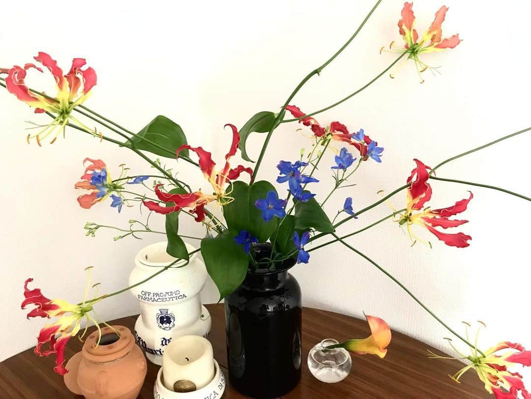 上原歩さんのインスタグラム写真 - (上原歩Instagram)「このお花なんて名前なのだろう 聞き忘れたけどすごく好き！ お友達がくれた花瓶で気持ち良さそうに咲いています♡ 植物をじっと見ていると どうしてこんな色、形になったの？！ と思う事がたくさんあって いちいち感動しています。 自然の創造物に勝るものはないと思わずにいられない👏 話は変わりますが ハヤシライスは普通に市販のルーを使っているよ🙋🏻‍♀️ ハヤシのルー作ったことない🐒💔w ・ #love #happy #life #flower #instagood #はなのあるくらし」9月12日 14時54分 - ayumiuehara