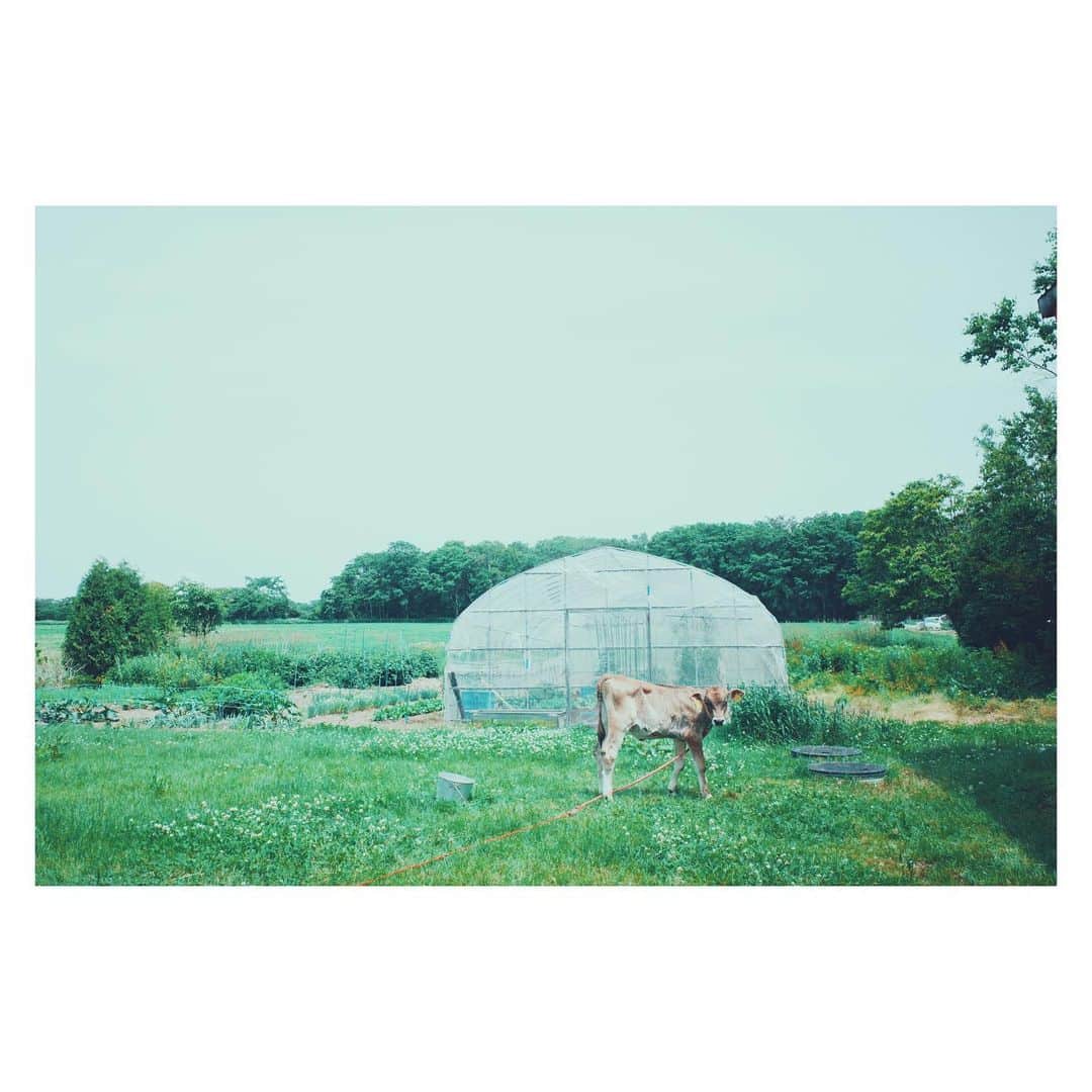 竹仲絵里のグルメインスタ