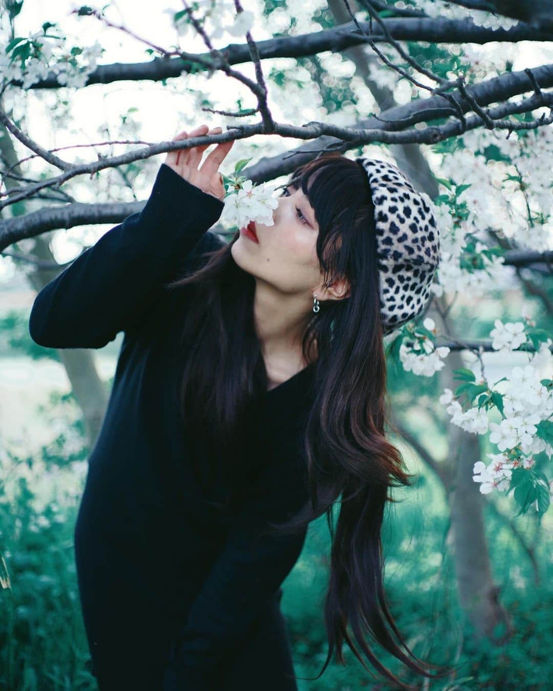 のインスタグラム：「はよ冬こい。 . いつぞやの #桜」