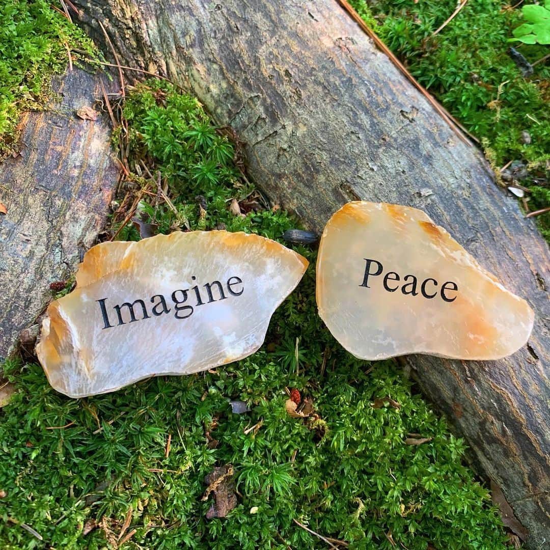 ノーマさんのインスタグラム写真 - (ノーマInstagram)「🕊🌎🌈 もうすぐピースデイだね🌱 #imagine #peace  #heartichoke #peaceday」9月12日 16時15分 - noma77777