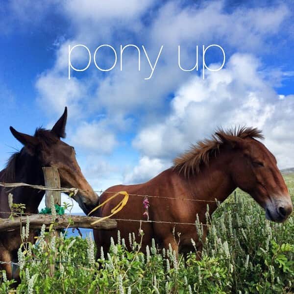 アメリカ大使館さんのインスタグラム写真 - (アメリカ大使館Instagram)「“pony up”って何❓と思いますよね。この意味実は「何かのため(義務的)に支払ったり、借金を清算すること。」を意味するイディオムです。 例えばこんな感じ… “You need to pony up $10 per month for the base rate for electricity in your apartment.” 「毎月$10を、アパートの電気基本使用量やとしてはらわないといけません。」 新聞🗞などの記事を読んでいても時々使われる言い回しなので、覚えておくと便利ですね🤓 . #usa #america #hawaii #studyabroad #economics #livinginamerica #pony #animalidioms #idioms #phrases #bluesky #newspaper #articles #アメリカ #アメリカ生活 #留学 #ポニー #イディオム #経済 #新聞 #読書」9月12日 17時22分 - usembassytokyo