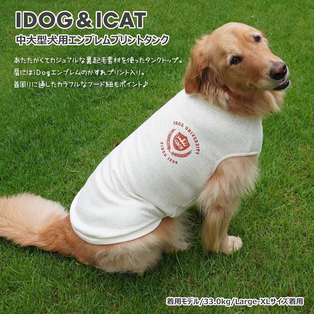 iDog&iCatさんのインスタグラム写真 - (iDog&iCatInstagram)「・ IDOG&ICATでは、中・大型犬用ウェアも多数販売中です！ ・ もこもこあったかタンクやカジュアルなパーカーまで！ プチプラ商品も随時販売予定ですので、チェックしてみてくださいね♪ ・ #idogicat #idog # icat #犬の服idog #中型犬 #大型犬 #中型犬ウェア #大型犬ウェア #秋冬用 #犬 #いぬ」9月12日 17時44分 - idogicat