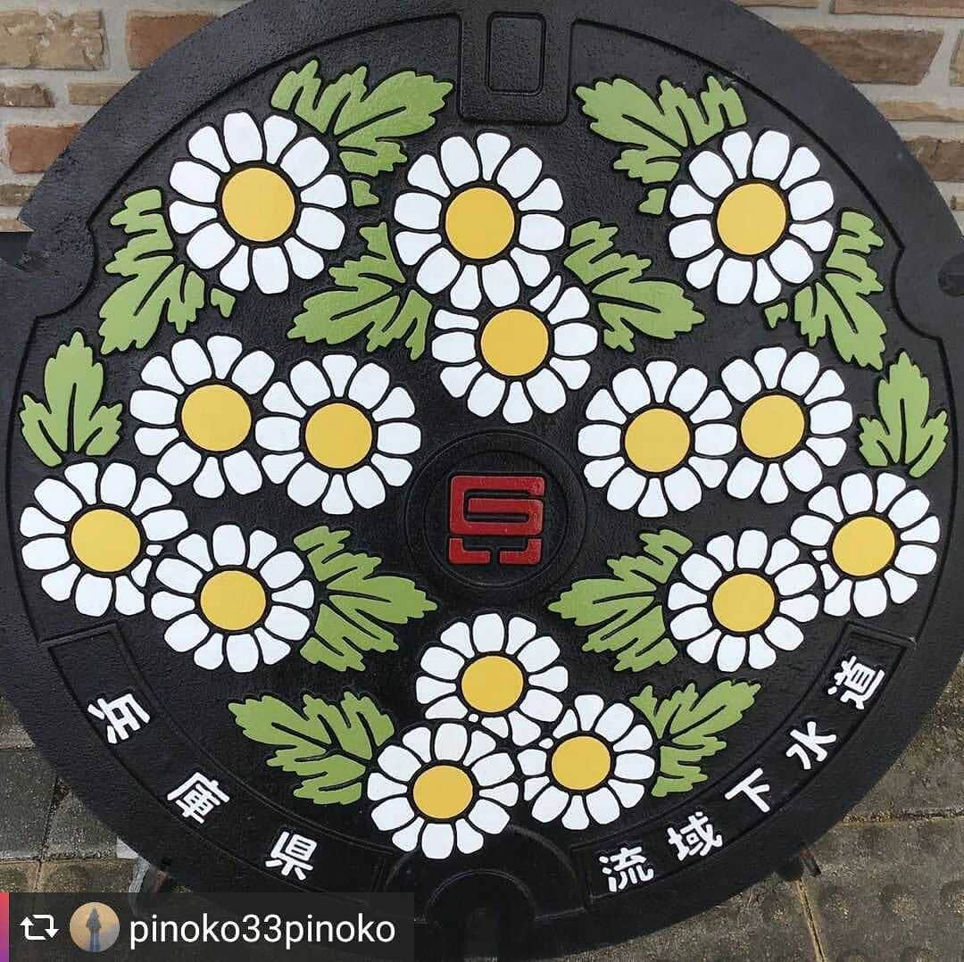 のインスタグラム：「兵庫県公式インスタグラム『love_hyogo』です。  love_hyogoでは皆さんが#lovehyogo のハッシュタグを付けて投稿していただいた写真から素敵な写真をご紹介させていただきます。  本日のピックアップは @pinoko33pinoko さんのお写真です👑 ハッシュタグをつけての投稿ありがとうございます🙏  写真は今やインスタでも人気沸騰中のカラーマンホール❗『兵庫県・流域下水道』バージョンです📷  兵庫県の「兵」の字をデザインした徽章(きしょう)を中心に描き、県花ののじぎくを周囲に散りばめた絵柄です❗  こちらのマンホールは猪名川流域下水道原田処理場にて展示してあるとの事。 この原田処理場…住所は大阪府豊中市となっていますが、伊丹と豊中にまたがって建ってるような位置にあります😓💦 こちらのカラーバージョンは展示のみでしか見ることはできないとの事ですが、ノンカラーバージョンは兵庫県内でも普通に見ることが出来ますよ😀 ただ、どうしても設置が道路になりますので、交通の妨げにならないように気を付けてくださいね👍  兵庫県内のマンホールは他にも様々なデザインの物がたくさんあります💕 ぜひ、探してみてください🔎  マンホールカードは各下水処理場等で配布されています、ぜひ集めてみてくださいね✨  兵庫にまつわる投稿は#lovehyogo のハッシュタグをお願いします👈  #兵庫県#兵庫#lovehyogo#love_hyogo#photooftheday#followme#マンホール#猪名川下水道原田処理場#原田処理場#兵庫県流域下水道のマンホール #兵庫県流域下水道マンホール#マンホーラー」