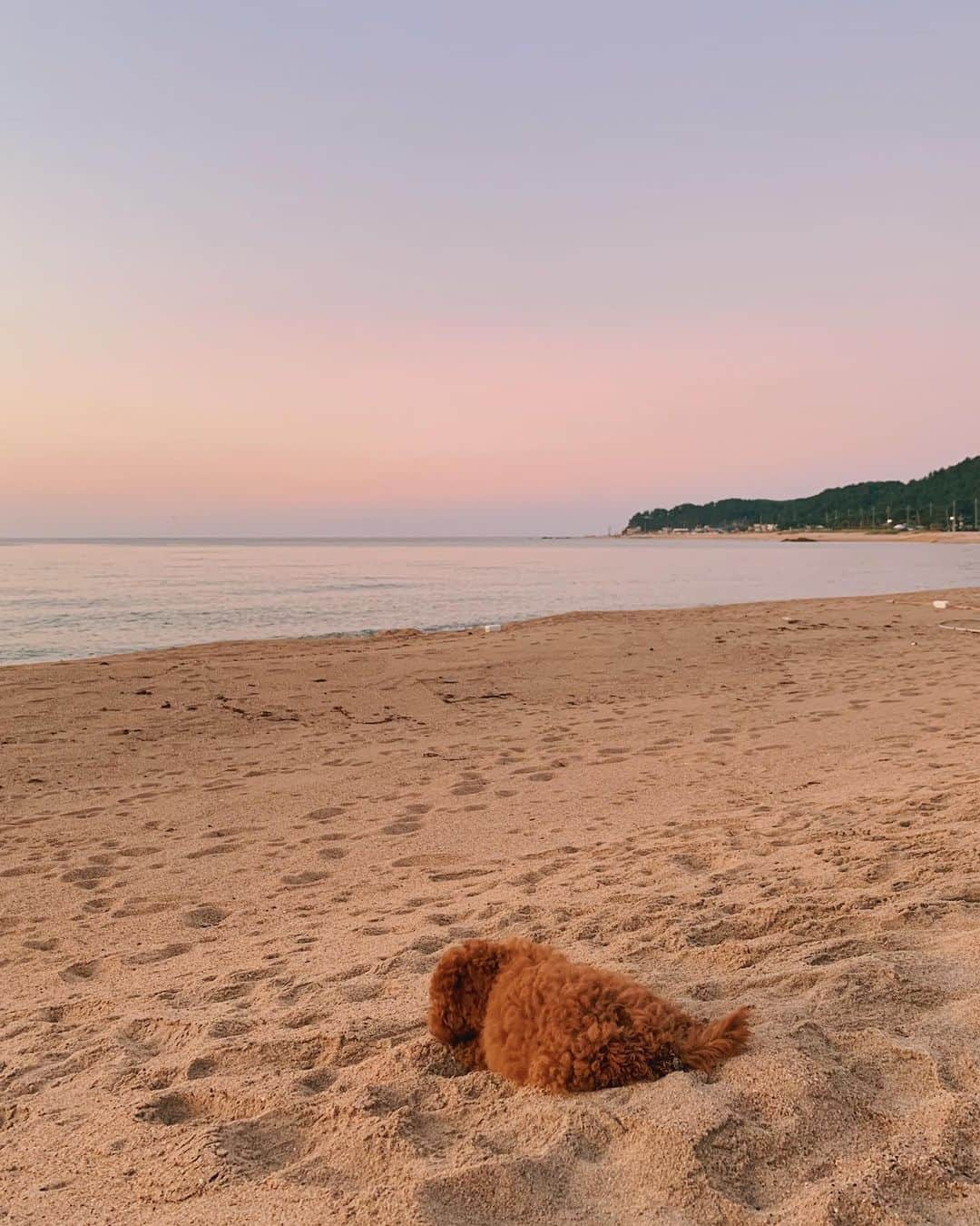 ソン・ファミンさんのインスタグラム写真 - (ソン・ファミンInstagram)「추석 잘 보내세요 (❁´▽`❁) 💕」9月12日 18時17分 - hwa.min