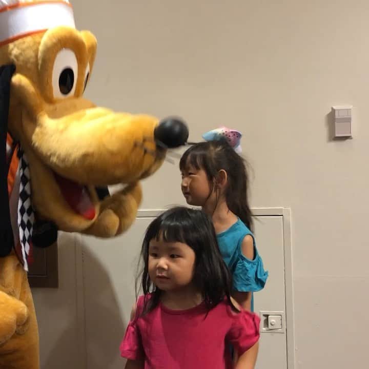 フロリダさえさなのインスタグラム：「9.11 彩笑(さえ)の7歳の誕生日🎂✨ 放課後のゴルフのあと、サプライズでシェフミッキーへ🍽 道中「これシェフミッキー行くんでしょ❓」なんて気づいちゃって、もうすっかりお姉さん😊♪ でもプレゼント何が欲しいって聞いても「ブーブークッション」って答えたり😅まだまた子供っぽい部分も😁 学校はクレイジーヘアの登校日で楽しかったみたいだし、放課後は大好きなゴルフ、そしてシェフミッキーとMagic Kingdomの花火を楽しんで、大忙しの一日💦 帰りの車で寝てしまいました😴寝顔はまだまだ赤ちゃん💕と思いたい親心もあったりして😊 学校のお勉強も難しくなっていくけど、彩笑にとってハッピーな一年になりますように✨✨」