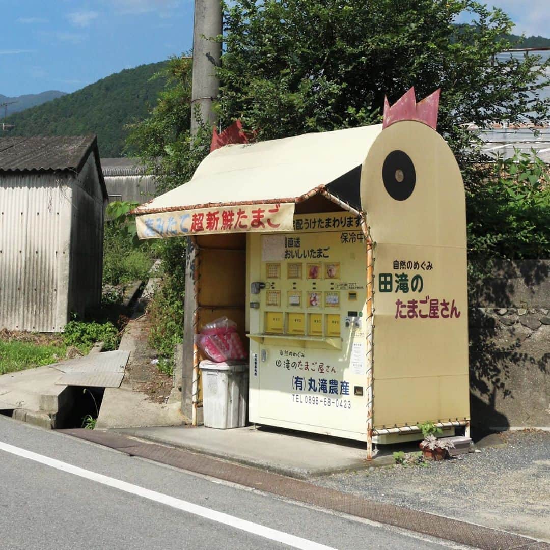 のインスタグラム：「この子に会いに このまちへ  #🐔 #田滝のたまご屋さん #丹原町 #田滝 #田滝地区 #卵自動販売機 #レトロ自販機 #昭和感#昭和レトロ#昭和#レトロ#昭和ノスタルジー#ノスタルジー #西条市 #いよ西条 #伊予西条 #愛媛 #四国 #瀬戸内 #Ehime #Shikoku #Setouchi #inaka #田舎暮らし #愛媛旅行 #四国旅行 #lovesaijo #🥚」