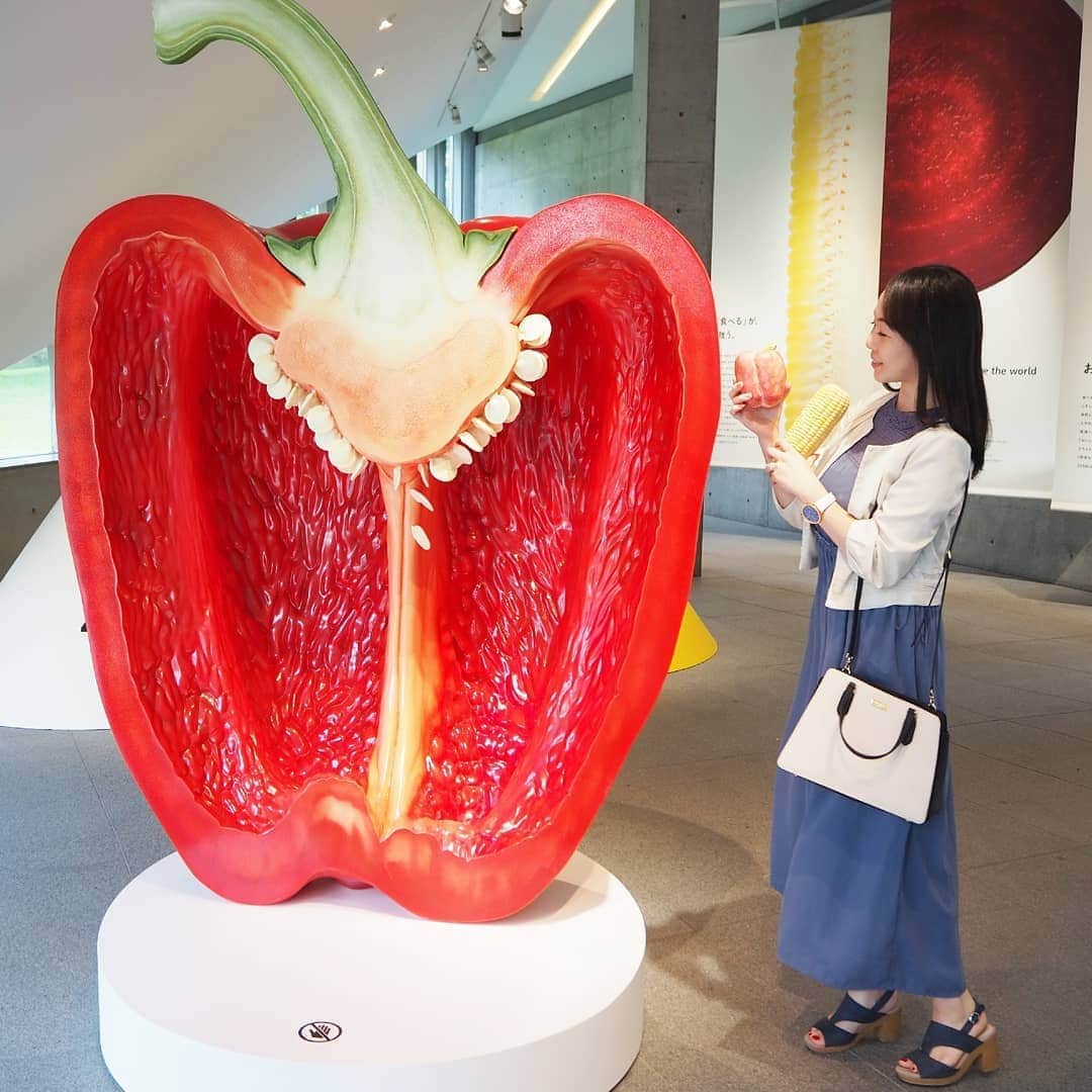 Kuboi Ayumiさんのインスタグラム写真 - (Kuboi AyumiInstagram)「野菜のぜんぶを知っていますか？  毎日食べている野菜。 娘たちの食育にも力を入れているのですが、ひとつおすすめのイベントをご紹介！  展覧会『野菜とデザイン』が、東京・六本木の21_21 DESIGN SIGHT ギャラリー3で開催されています。 ミツカンが人と社会と地球の健康を考え立ち上げた新ブランド 「ZENB（@zenb_japan）」の世界を体験できるイベントです。  普段は食べずに捨ててしまっている部分まで野菜をおいしく食べられる ZENB商品の試食もできちゃいます。  大きなパプリカが木彫りの野菜があったり、 子どもたちと一緒に野菜のお勉強もできる素敵なイベントでした。  23日までの期間限定なので、気になる方は早めに行ってみてくださいね☆  ちなみに、このイベントとコラボしたメニューが東京ミッドタウンの いくつかのレストランで食べられます。  私はHAL YAMASHITAで「まるごと野菜ZENB和禅ビーガンコース」を食べてきたのですが 野菜をこれでもかというくらい味わえるおいしいメニューでした。  特に枝豆涼麺がお気に入りで、ペースト欲しくなっちゃいました。  #vegetable #野菜 #食育 #女の子ママ #21_21designsight #野菜とデザイン展 #野菜とデザイン  #ZENB #ゼンブ #新感覚野菜 #野菜大好き #野菜不足 #pr #ビーガン #ギルトフリー #ギルティフリー #東京ミッドタウン」9月12日 19時53分 - himekagami