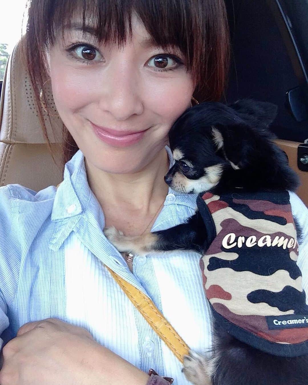 山田佳子さんのインスタグラム写真 - (山田佳子Instagram)「マイケルがまだ1歳の頃…🐶💕﻿ ﻿ #可愛い﻿ #lovely #小さかった﻿ #マイケル﻿ #6年前﻿ #今でも﻿ #甘えた﻿ #ヤキモチ焼き #そんなところがまた可愛い  #iloveyou😘  #chiwawa  #山田佳子」9月12日 19時58分 - yoshiko117