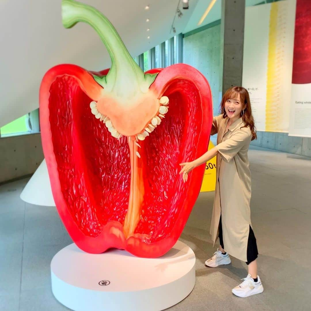 小松彩夏さんのインスタグラム写真 - (小松彩夏Instagram)「﻿ 2019年9月12日（木）- 2019年9月23日（月・祝）六本木ミッドタウンにて開催されている『ミツカンZENB』( @zenb_japan )のイベントに一足早く参加してきました😄﻿ ﻿ 人がまだ気づいていない野菜のぜんぶについて、野菜が持っている機能美から栄養、おいしさまでデザインの視点で切り取った「ZENB」の世界観が体験出来ます🌽🥕﻿ ﻿ 実はジュニア野菜ソムリエの資格をもっているのですが、まだまだ知らないことが沢山あるなーと勉強にもなりました📝﻿ ﻿ 野菜の普段食べずに捨ている部分まで可能な限りまるごといただく、ZENB商品を試食させて頂きましたが、本当に濃厚で美味しかったです😊🌽﻿ ﻿ 野菜が苦手な方も、野菜が好きな方も楽しめるイベントだと思います😄💕﻿ ﻿ 入場無料で商品の試食や販売もしているので是非、足を運んでみてくださいね☺️﻿ ﻿ 私は六本木ミッドタウンのガーデンの雰囲気が好きなので、ミッドタウンを楽しみながらお散歩がてら立ち寄るのがオススメ✨﻿ ﻿ 会場：六本木ミッドタウン21_21 DESIGN SIGHT ﻿ 開館時間：10:00 - 19:00﻿ 入場料：無料﻿ ﻿ http://www.2121designsight.jp/gallery3/vegetables_and_design/﻿ ﻿ #21_21designsight #野菜とデザイン展 #野菜とデザイン #ZENB #ゼンブ #新感覚野菜 #野菜大好き #野菜不足 #pr #ZENB @zenb_japan」9月13日 7時12分 - official_ayaka_502