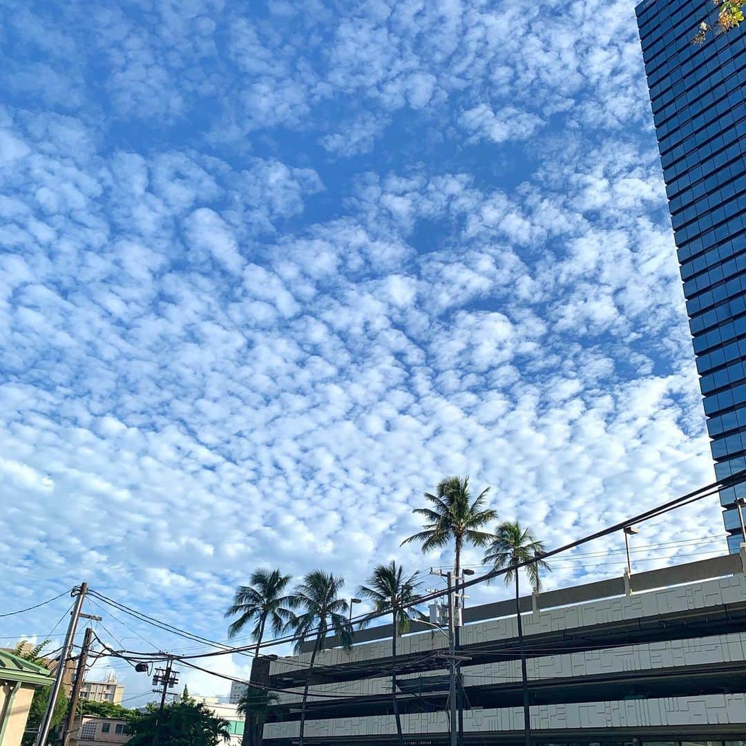 Belle Vie Hawaiiさんのインスタグラム写真 - (Belle Vie HawaiiInstagram)「今朝のホノルル。﻿ うろこ雲がとてもキレイで思わずパシャリ📸 まだまだ暑い日々ですが、﻿ 少しだけ秋の気配…⁈﻿ ﻿ ﻿ ﻿ ﻿ ﻿ ﻿ ﻿ ﻿ ﻿ ﻿ #belleviehawaii #hawaii﻿ #waikiki #waikikibeach﻿ #aloha #honolulu﻿ #skyclouds #clouds﻿ #oahuhawaii #oahulife﻿ #hawaiilife #honoluluhawaii﻿ #ハワイ #ベルヴィー﻿ #ハワイ旅行 #ハワイ好き﻿ #うろこ雲 #通勤途中﻿ #ハワイ大好き #アロハ﻿ #ハワイの思い出 #ハワイ情報﻿ #ハワイ土産 #ハワイ行きたい﻿ #ワイキキ #ワイキキビーチ﻿ #ホノルル #ハワイ生活﻿ #ハワイ好きな人と繋がりたい」9月13日 7時12分 - belleviehawaii