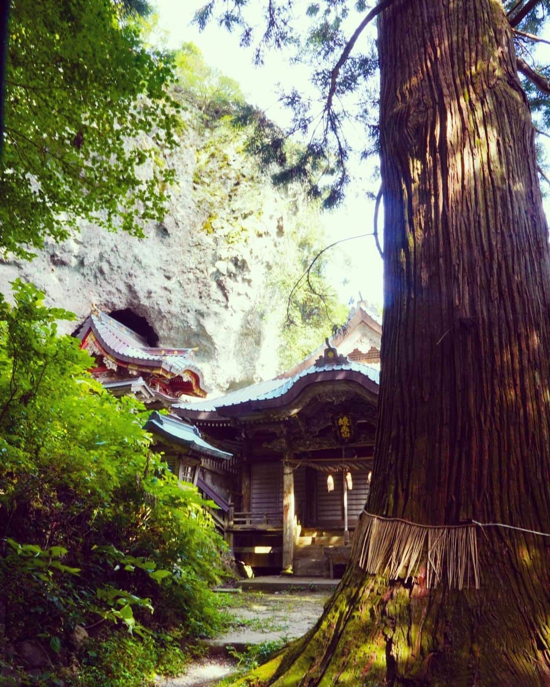 小林希さんのインスタグラム写真 - (小林希Instagram)「聖なる地。 隠岐諸島の西ノ島の焼火神社。 すごく、すてき。 ただ、それだけしか思わない。  #travel#旅#国内旅行#小林希#旅行#旅好きな人と繋がりたい #旅行 #japan #島#島旅#離島#隠岐#西ノ島#島根#oki#shimane#焼火神社 #sony#α7riii」9月12日 22時20分 - nozokoneko