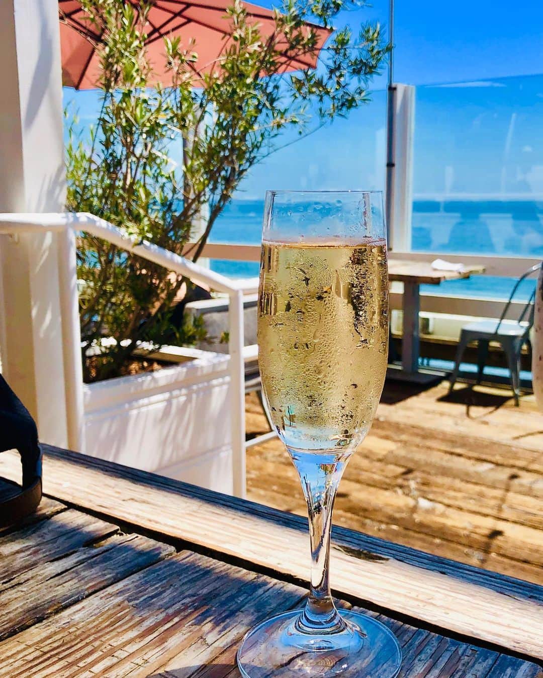 のインスタグラム：「Malibuの海見ながらの1人シュワシュワ♡至福のひととき #love #malibu #champagne #マイケル富岡 #タレント #俳優 #actor #actorslife #shooting #location #la #lalife #lastyle #ロス #マリブ #マリブファーム #love #usa #beach #resort #california #surfing #surfer #malibufarm #fresh #organic #local #お疲れ様 #シャンパン #gah #generalamericanhome」