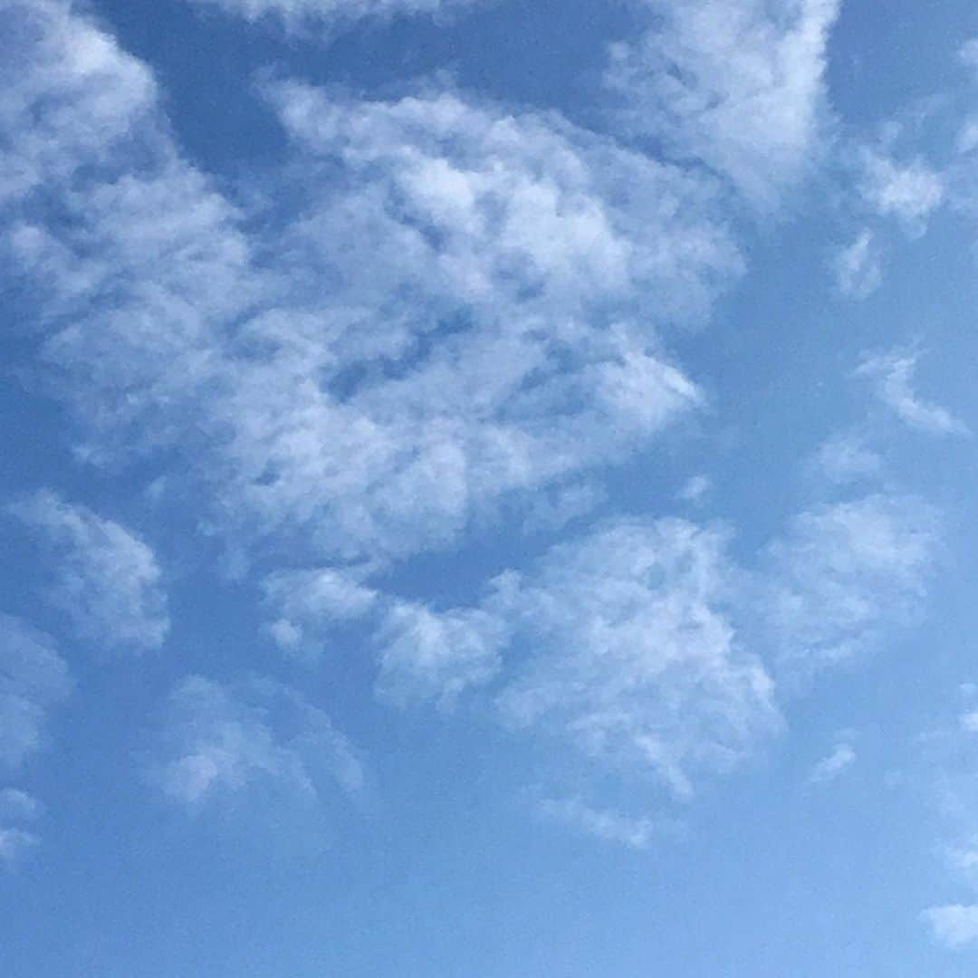 Kevin Richardson LionWhisperer さんのインスタグラム写真 - (Kevin Richardson LionWhisperer Instagram)「Am I going mad? Is it just me starting to see lions in clouds!! Do you see it too? If so what do you see? #cloudappreciation #cloudappreciationsociety #mufasa」9月12日 22時51分 - lionwhisperersa