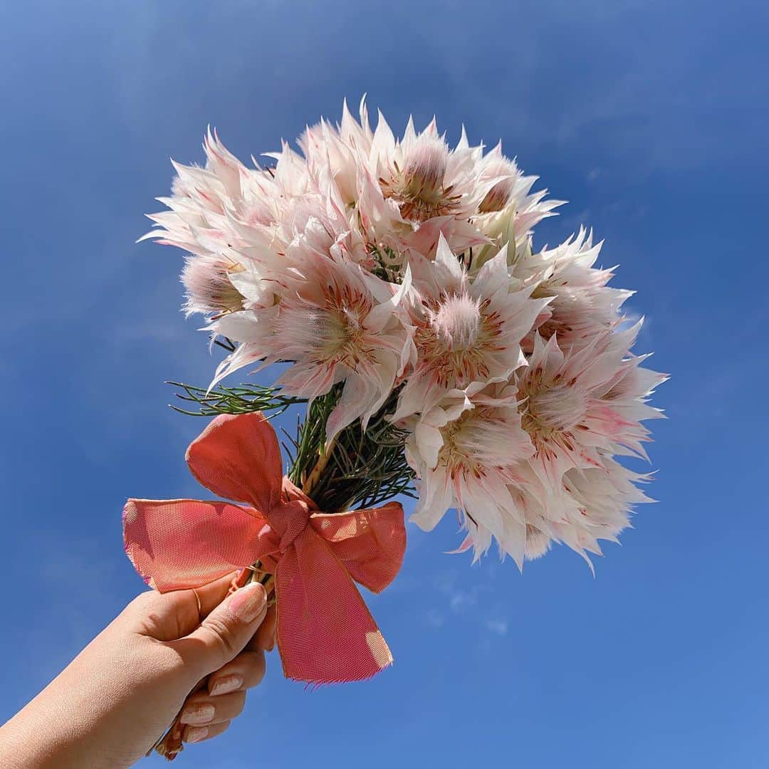 Sayakaのインスタグラム：「* It’s a beautiful day 🌈✨✨ 大好きなセルリアのブーケ💖 . . #flower #flowers #serruria #flowerlovers #floweroftheday #flowerstagram #happy #love #sayakasflower  #花 #セルリア #花のある暮らし #花のある生活」