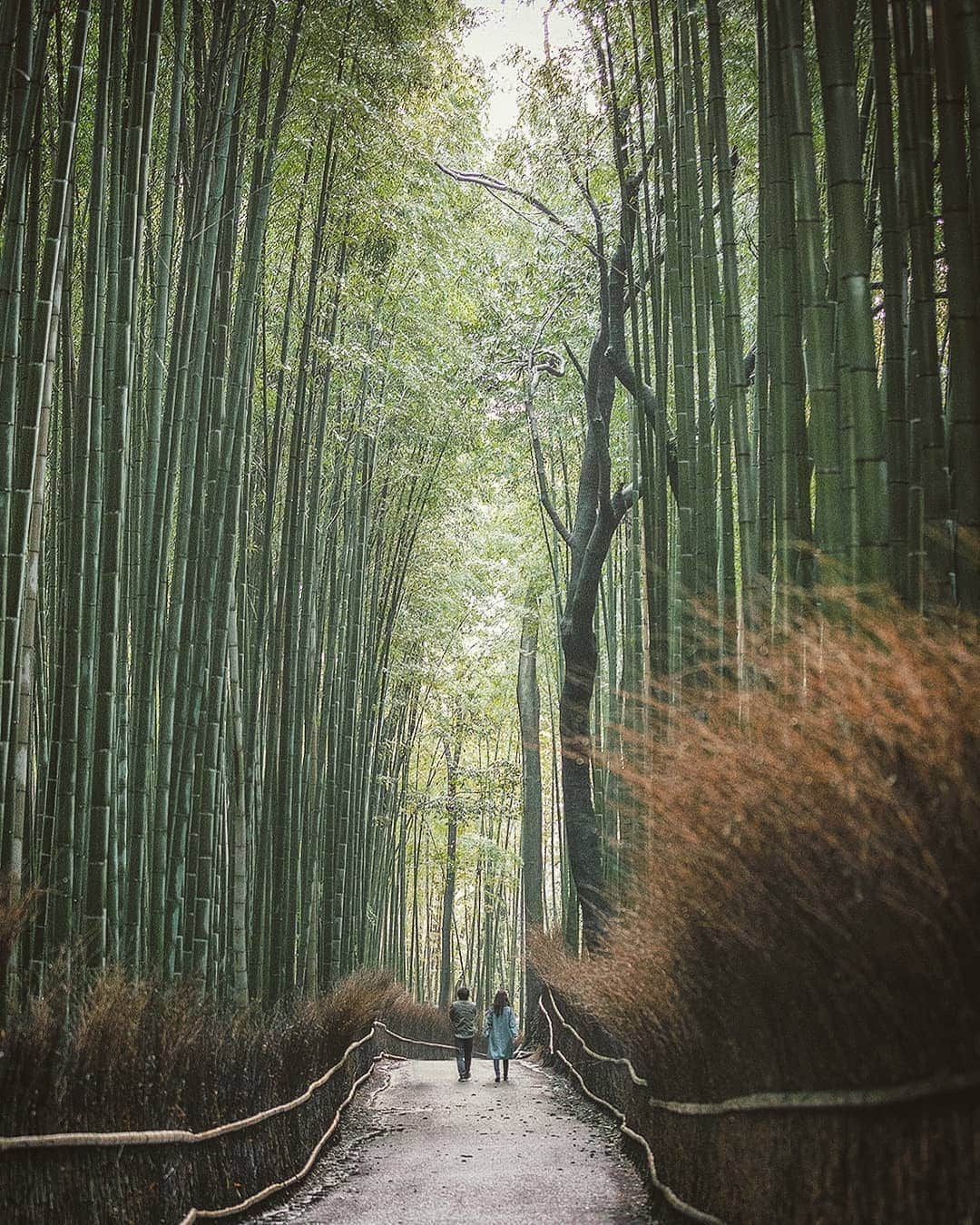 Berlin Tokyoのインスタグラム