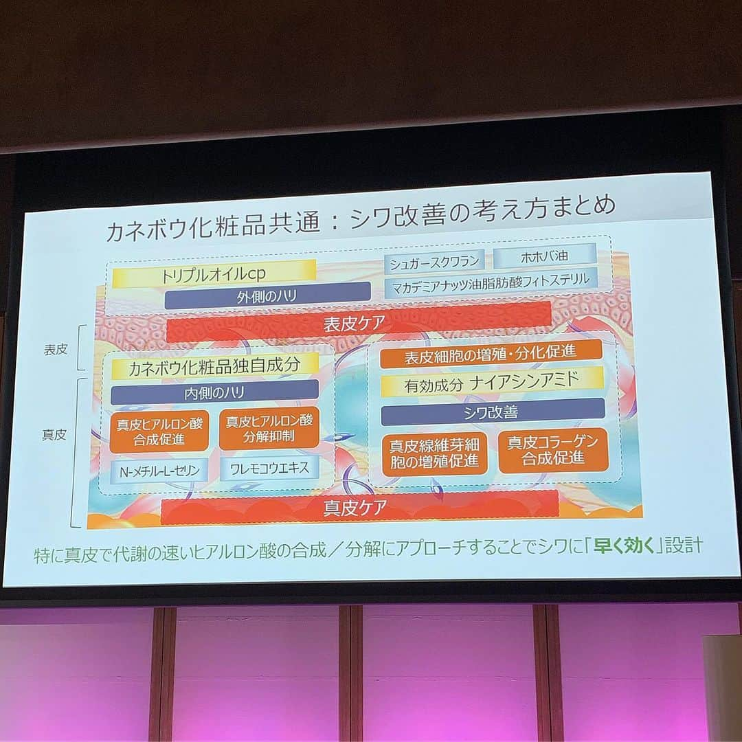 美ST編集部さんのインスタグラム写真 - (美ST編集部Instagram)「【編集部員の美容日記】9月も半ばになろうとしているのにまだまだ暑いですが、そろそろ秋のスキンケア仕度も始めたい今日この頃です。今年の秋のスキンケアトピックスは、なんと言っても✨第2次シワコスメブーム✨（ただ今、絶賛発売中の美ST10月号でも大特集で取り上げています）。 シワというと目尻のシワが代表的ですね。セットで言及されるのは、乾燥です。新しいシワコスメの特徴は、目尻はもちろん、ほうれい線、スマホ眉間ジワ、マリオネットジワなどにも対応著しい点。つまり、乾燥だけでなく、💥ハリ・弾力、たるみ💥にもアプローチできるかがチェック項目。  そこで、かねがね私がリフトアップコスメの中で一番効く！ と力説していた「カネボウ リフト セラム」（背後にうっすら写ってます）のお仲間として「カネボウ リンクル リフト セラム」が登場。 😥シワが深いほどヒアルロン酸量は低下している。 😨シワのあるところでは、ヒアルロン酸の代謝バランスが崩れている。 😰シワが深いところではコラーゲン繊維の劣化が進んでいる。 ☺️コラーゲン繊維の間を水を抱えたヒアルロン酸がたっぷりと埋め尽くしていれば、シワは改善する。  ということで、「カネボウ リンクル リフト セラム」は、ありとあらゆる方法で、全方位からコラーゲンとヒアルロン酸を合成したり、促進したり、分解を抑制したりするわけです。その中には「リフト セラム」と同じ成分もちゃんと入っているのがポイント高くて。 「リンクル リフト セラム」をスマホ眉間ジワにせっせと塗ったあとは、「リフト セラム」で引き上げ！ が私の朝晩の習慣です。  ピタッとシワ部位につく硬さもいいんですよね。ついてる満足感があります（これ大事）。1本で4週間、期待に心震えてます、ふふ。  余談ですが、韓国の美容皮膚科の先生によると、韓国の水光注射やアンチエイジング注射は、ほぼほぼヒアルロン酸が基本で、その量や濃度、そこに他の成分を加えたりといった違いなんだそうです。だから、ヒアルロン酸➕各種成分、というのは、美容医療的な考え方なんだなぁと、個人的に思っています。  長くなったので、話題の成分「ナイアシンアミド」ついては、また別なところで語りたいです〜😃 2019年10月11日発売です✨  #ST編集部 #美ST #美容 #美魔女 #ビューティ #美活 #シワコスメ #カネボウ #KANEBO #リンクルリフトセラム #コスメ新作 #シワ美容液 #ハリ #リフトアップ #SST #美妝 #化妝品 #안티에이징 #編集I こと #編集長代理いしはら ================ 美容雑誌『美ST』編集部公式Instagramアカウントです！撮影の裏側や、最新コスメ・美容情報、最新号のお知らせなどを配信中。ぜひフォローしてくださいね。 ================」9月12日 23時44分 - be_story_official