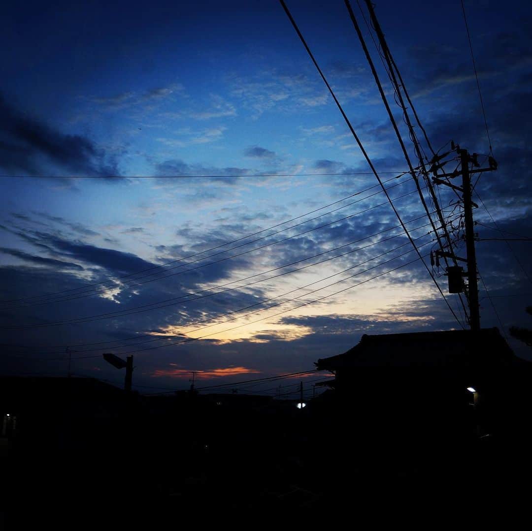 ナガイケジョーさんのインスタグラム写真 - (ナガイケジョーInstagram)「#千葉 #夕暮れ #猫 #ベース #chibaprefecture #sunset #cat #fender #jazzbass」9月12日 23時59分 - joenagaike