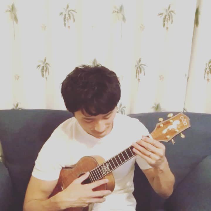 のインスタグラム：「Sweet Dreams🎶🌴💤 #良い夢を #ukulele #ウクレレ」
