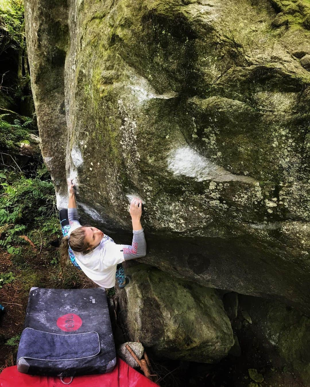 カロリーネ・ジンフーバーさんのインスタグラム写真 - (カロリーネ・ジンフーバーInstagram)「batteling for the 2nd ascent of a @floschmalzl masterpiece somewhere at the zillertal 🥊 let‘s see who‘s gonna make it @_baumeister_ @bercht3.0 💪🏻 @sosolid_official @belmezattitude @frictionlabs @scarpa_at @natureclimbing • • • #climbinggirls #gymclimbing #zillertal #tirol #tyrol #climbing #klettern #bouldern #bouldering #nature #outdoor #boulderingbabes #bouldering_came_first #scarpa #noplacetoofar #frictionlabs #natureclimbing #sosolid」9月13日 0時53分 - karo_sinnhuber