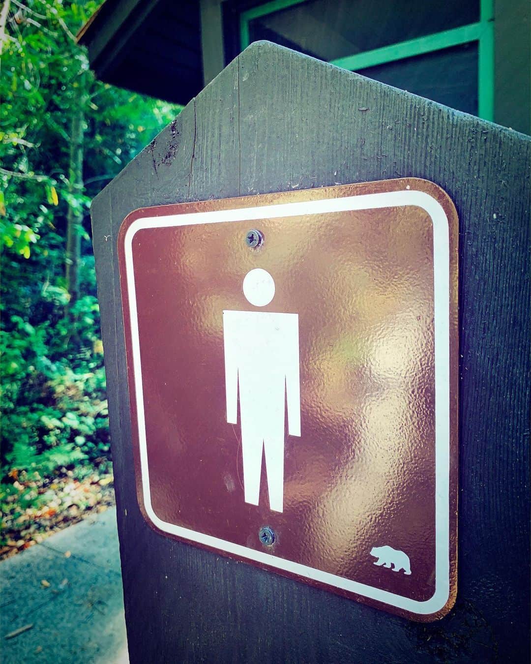 ロブ・モローのインスタグラム：「Why are the proportions in reverse?  Shouldn't the bear be bigger. It's like, "Oh, yeah btw keep an eye out for minature bears". #bigsur」