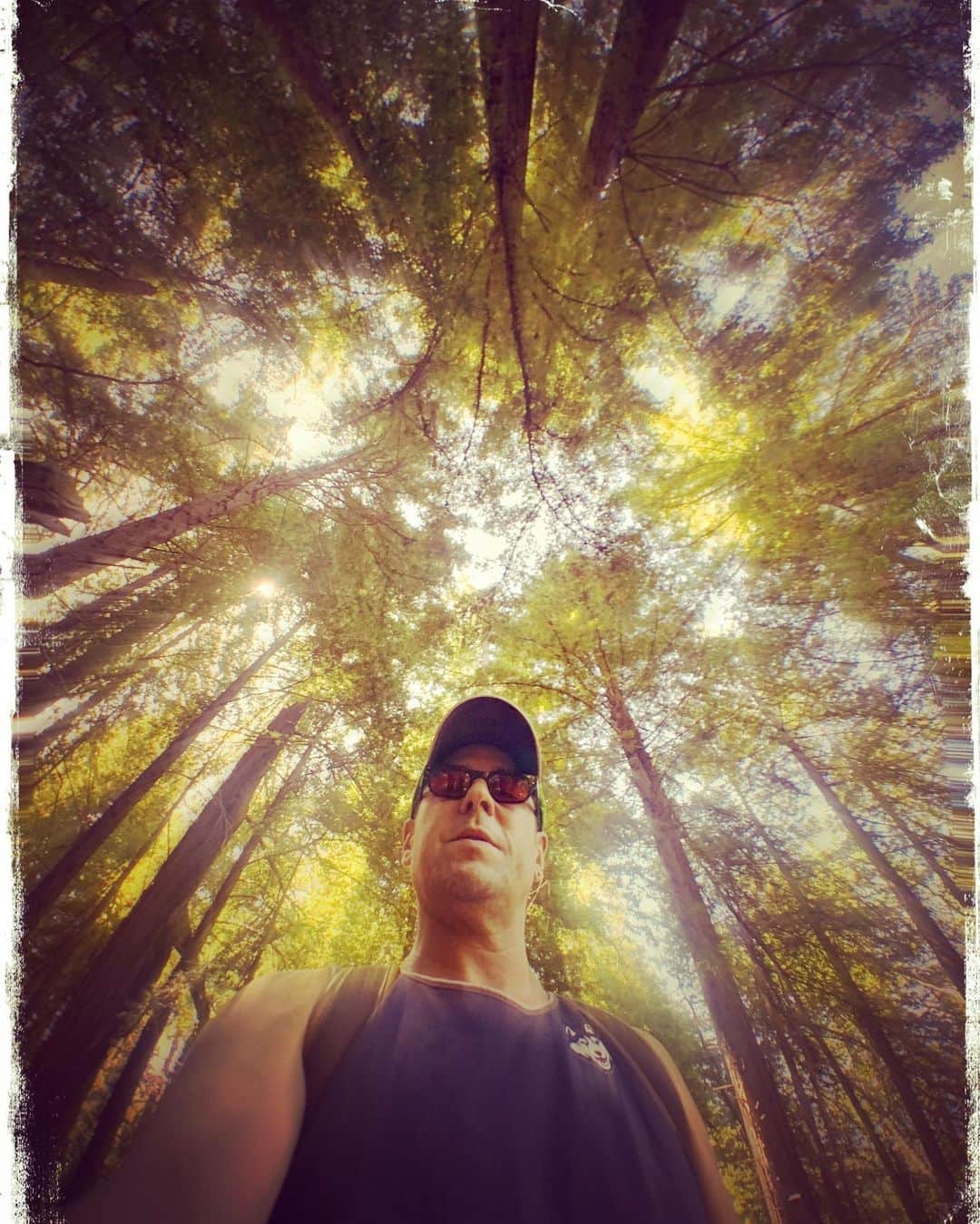 ロブ・モローのインスタグラム：「Proper perspective. #Redwoods #bigsur」