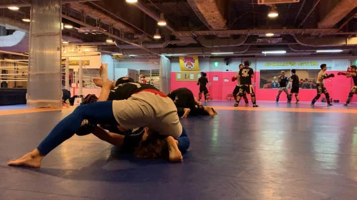のインスタグラム：「AACC大森MMA 選手は激しく追い込み☝🏻一般部はのんびり楽しく👍🏻 AACC fighter’s schedule ・9/16 コンバットレスリング アジア選手権大会 戸田聡 本野美樹 Combat Wrestling Asia Championship Satoshi Toda Miki Motono ・9/22 プロフェッショナル修斗 杉本恵 Shooto Megumi Sugimoto ・9/29 全日本アマチュア修斗 大島沙織 All JAPAN Amateur Shooto Championships Saori Oshima ・10/2 ミャンマーラウェイ 東修平 Lethwei Shuhei Higashi ・10/4 Eternal MMA 本野美樹 Eternal MMA Eternal MMA Australian Strawweight Title Match Miki Motono ・10/12 RIZIN 19 RENA RIZIN 19 RENA ・10/20 プロフェッショナル修斗 井口雅仁 Shooto Masato Iguchi ・10/22 DEEP JEWELS 玉田育子 長尾音波 DEEP JEWELS Yasuko Tamada Otoha Nagao  AACC Omori MMA class. Let’s do AACC MMA!!!! #aacc #aaccmma #aacc大森 #grappling #catchwrestling #nogi #無料体験できます #aacc楽しいですよー #生徒募集中 #仲間募集中  #aacc女子部 #レスリング #キャッチレスリング #総合格闘技 #女子格闘技 #femalefighter #jiujitsu #柔術 #格闘技やるならAACC #女子MMAならAACC #ココロとカラダを強くする #仲間 #team #何事も基本が大事 #大人の部活動 #格闘技部 #aacc格闘技部」