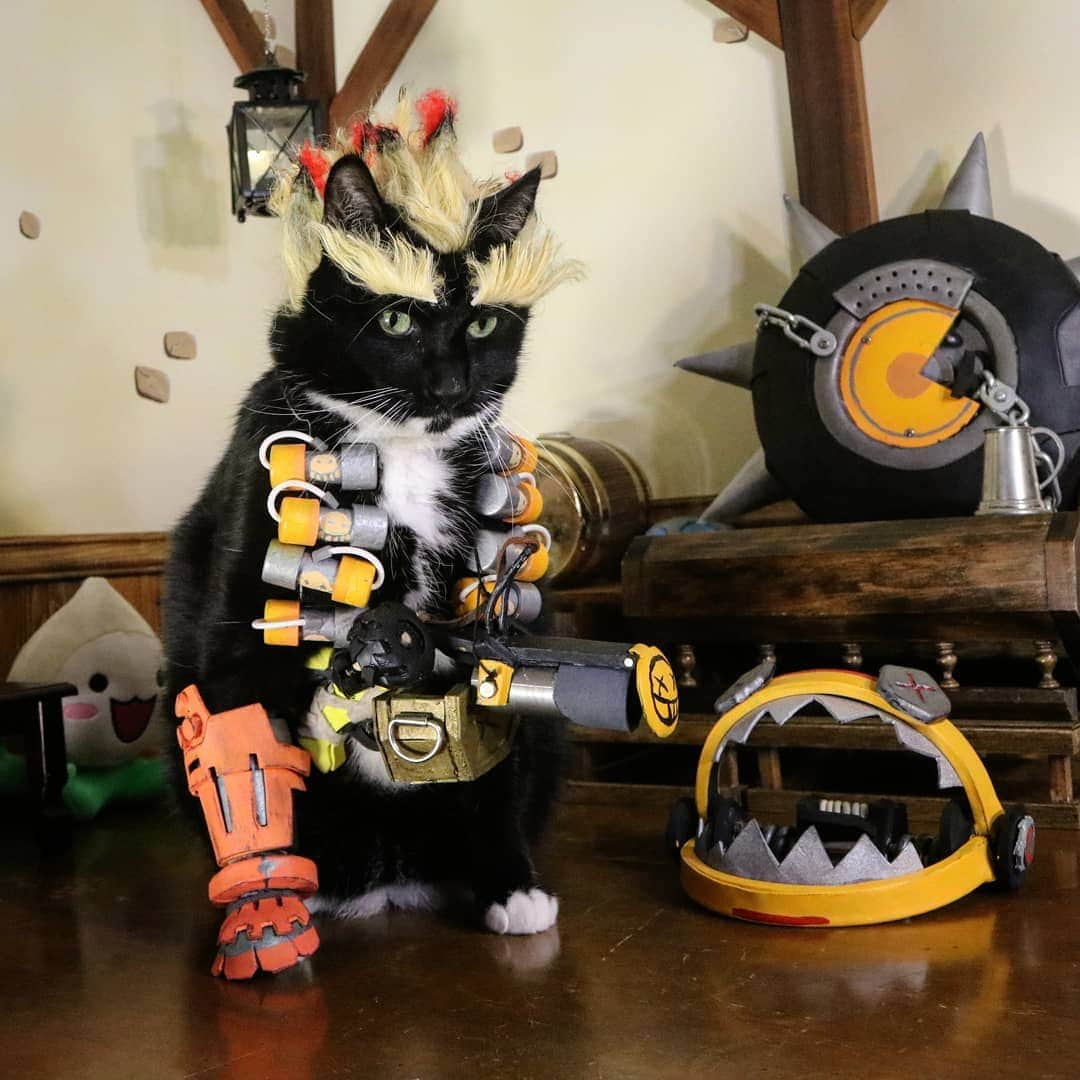 猫コスプレさんのインスタグラム写真 - (猫コスプレInstagram)「A trap/mine outside the red team spawn doors? 42% of the time, it works every time.  #Overwatch #Junkrat . . . . . . . #overwatchcosplay #catcosplay #catcostume #catsinclothes #petclothes #petcostumes #cosplay #bestcat #halloweenpets #halloweencostume #blizzard #blizzardcosplay #cosplayersofinstagram #cosplayer #junkratcosplay #overwatchmemes #funnycats #videogamesday」9月13日 3時03分 - cat_cosplay