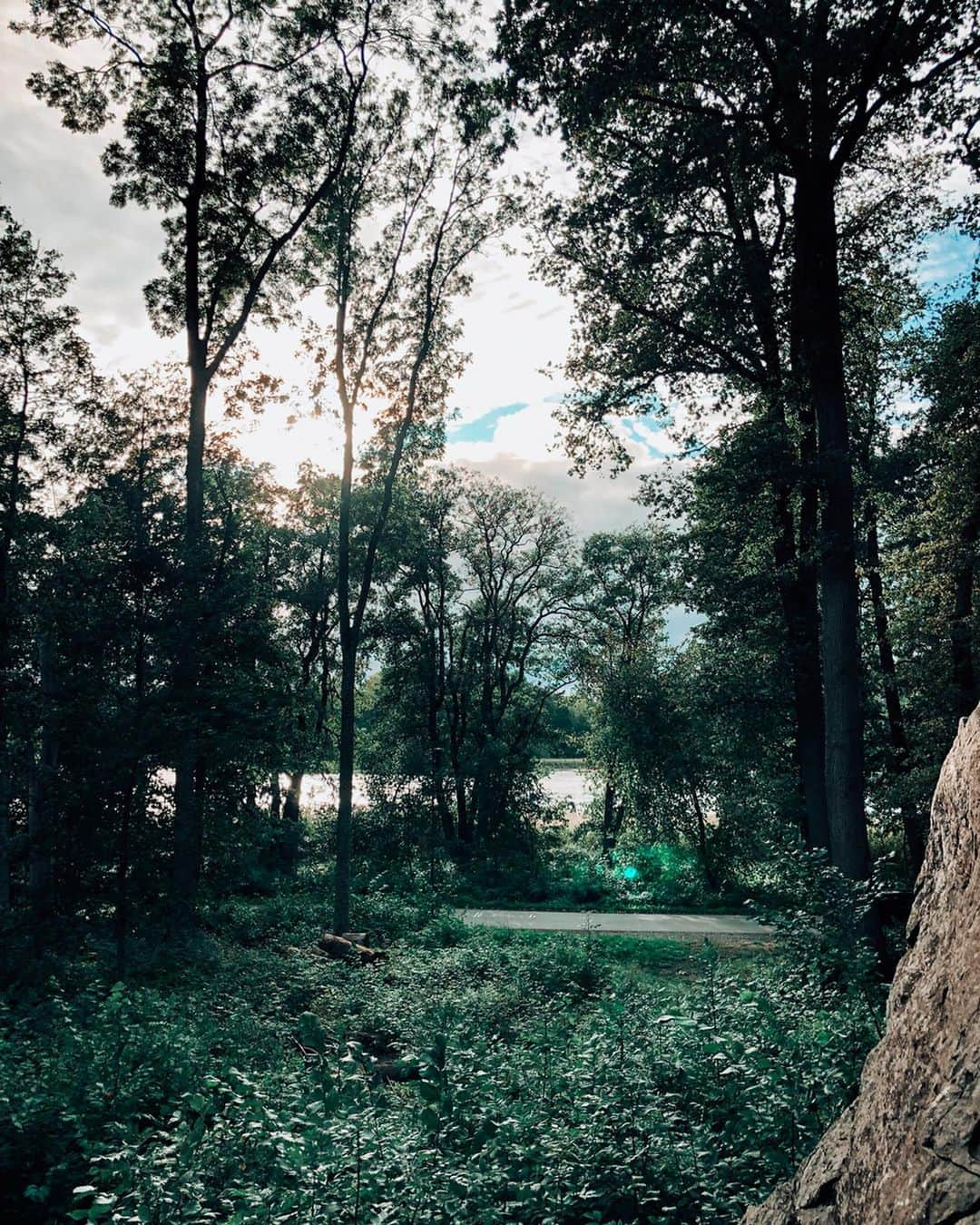 マチルダ・セーデルルンドさんのインスタグラム写真 - (マチルダ・セーデルルンドInstagram)「Awesome training day at Örnberget with @torjo 💪🏼 Did some goes in my lil project and ticked off another Stockholm classic, Breaking the Law (8b). Lost some skin on the way up 👋🏼 and then celebrated with the new @nocco soda 🥤🤗 Headed to @klattercentret_telefonplan to finish off with some more training afterwards. Long day 😅」9月13日 4時43分 - matilda_soderlund